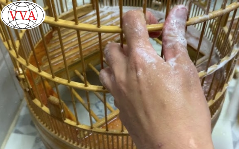 Hình 2: Vệ sinh lồng, cóng ăn, cóng uống 